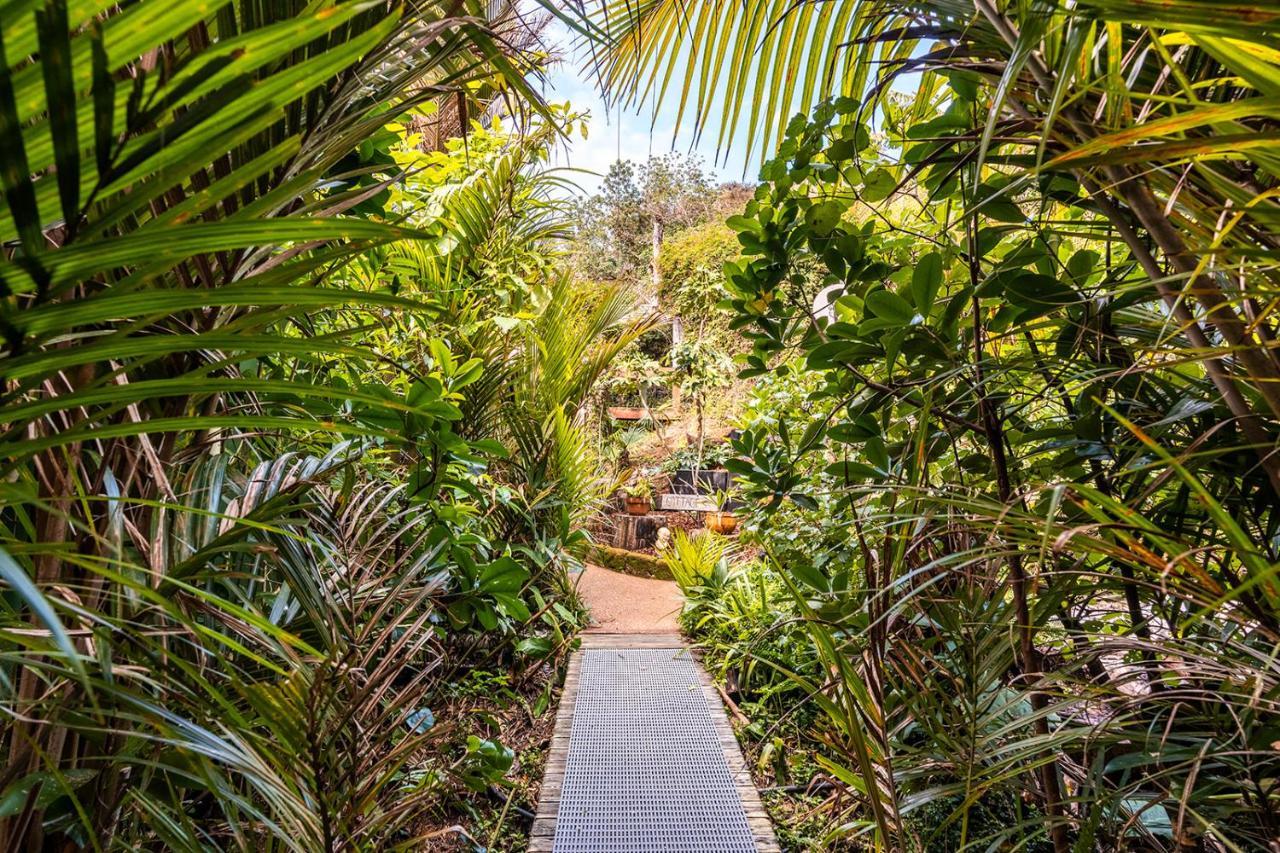 Boho Hill Waiheke Island Villa Palm Beach Ngoại thất bức ảnh