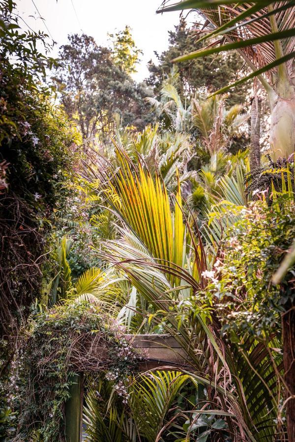 Boho Hill Waiheke Island Villa Palm Beach Ngoại thất bức ảnh