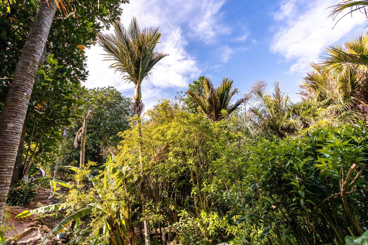 Boho Hill Waiheke Island Villa Palm Beach Ngoại thất bức ảnh