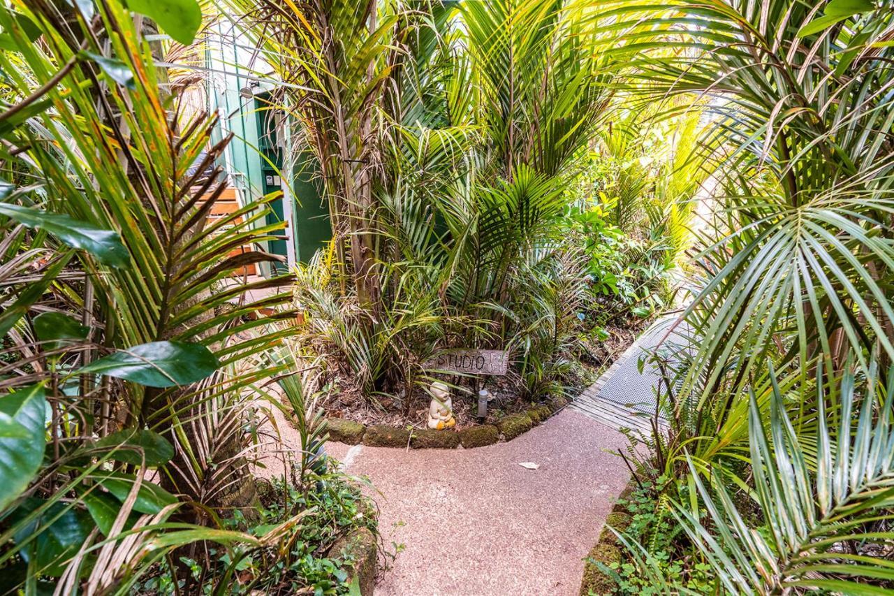 Boho Hill Waiheke Island Villa Palm Beach Ngoại thất bức ảnh