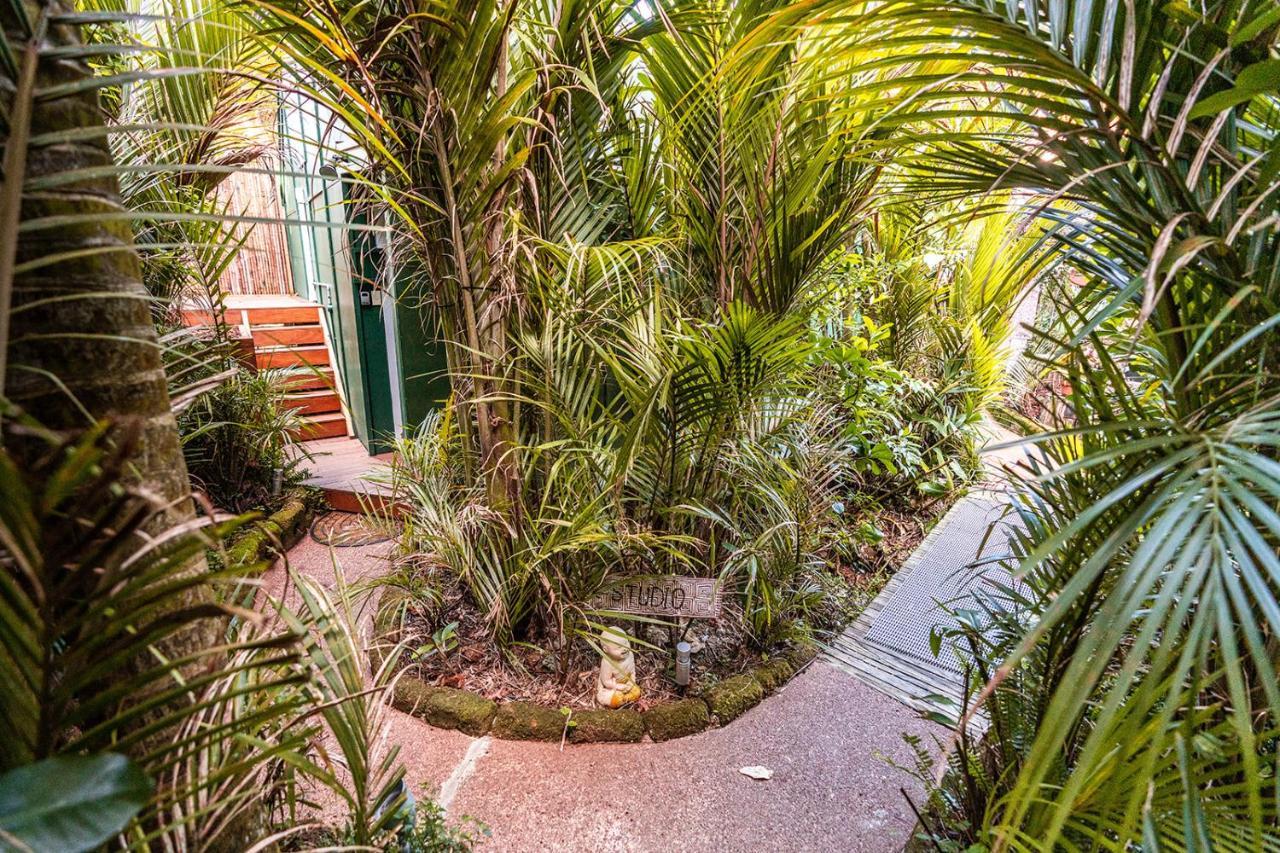 Boho Hill Waiheke Island Villa Palm Beach Ngoại thất bức ảnh